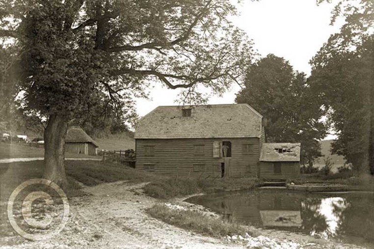 Abbotstone 001