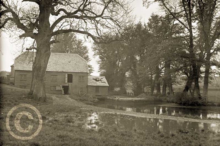 Abbotstone 002