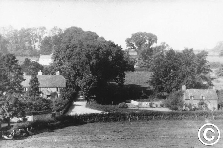 Bighton 006