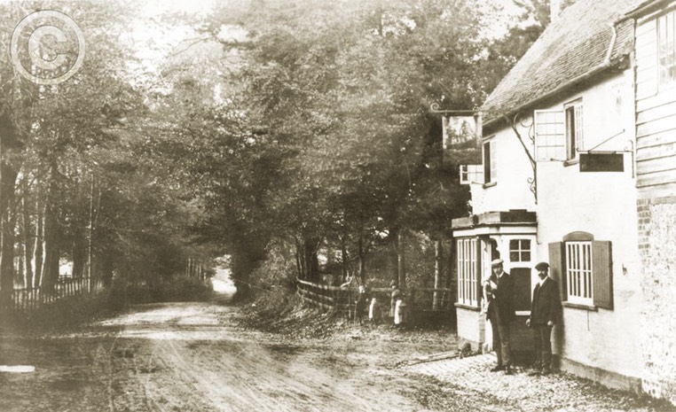 Bishop's Sutton 018