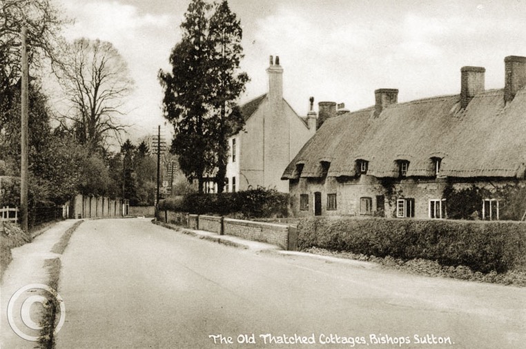 Bishop's Sutton 019