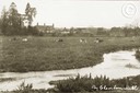 Cheriton 031