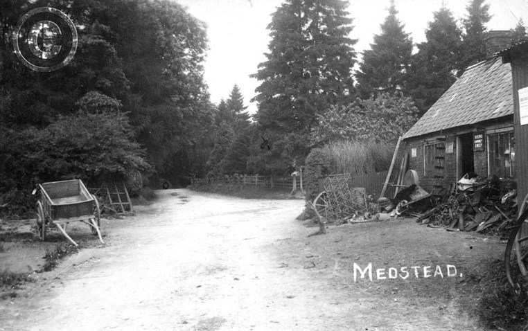 Four Marks - Medstead 027