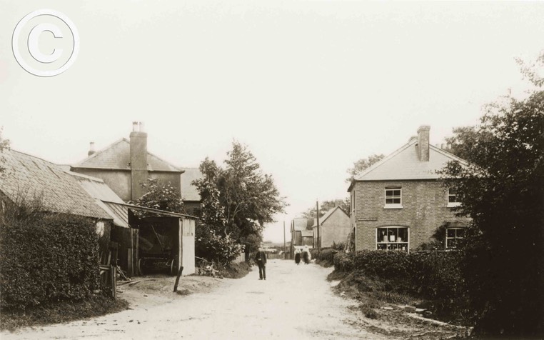Four-Marks Medstead 031
