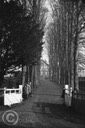 Old Alresford 027