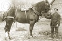 Old Alresford 066