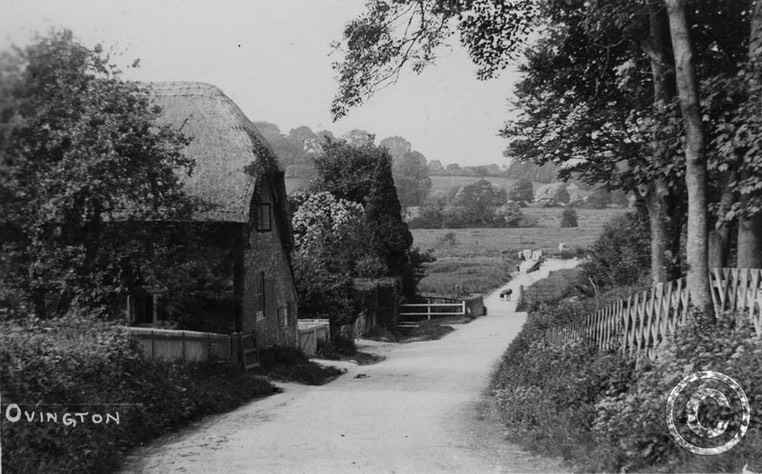 Ovington 009